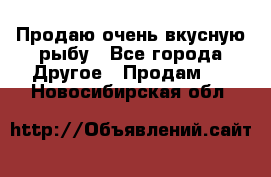 Продаю очень вкусную рыбу - Все города Другое » Продам   . Новосибирская обл.